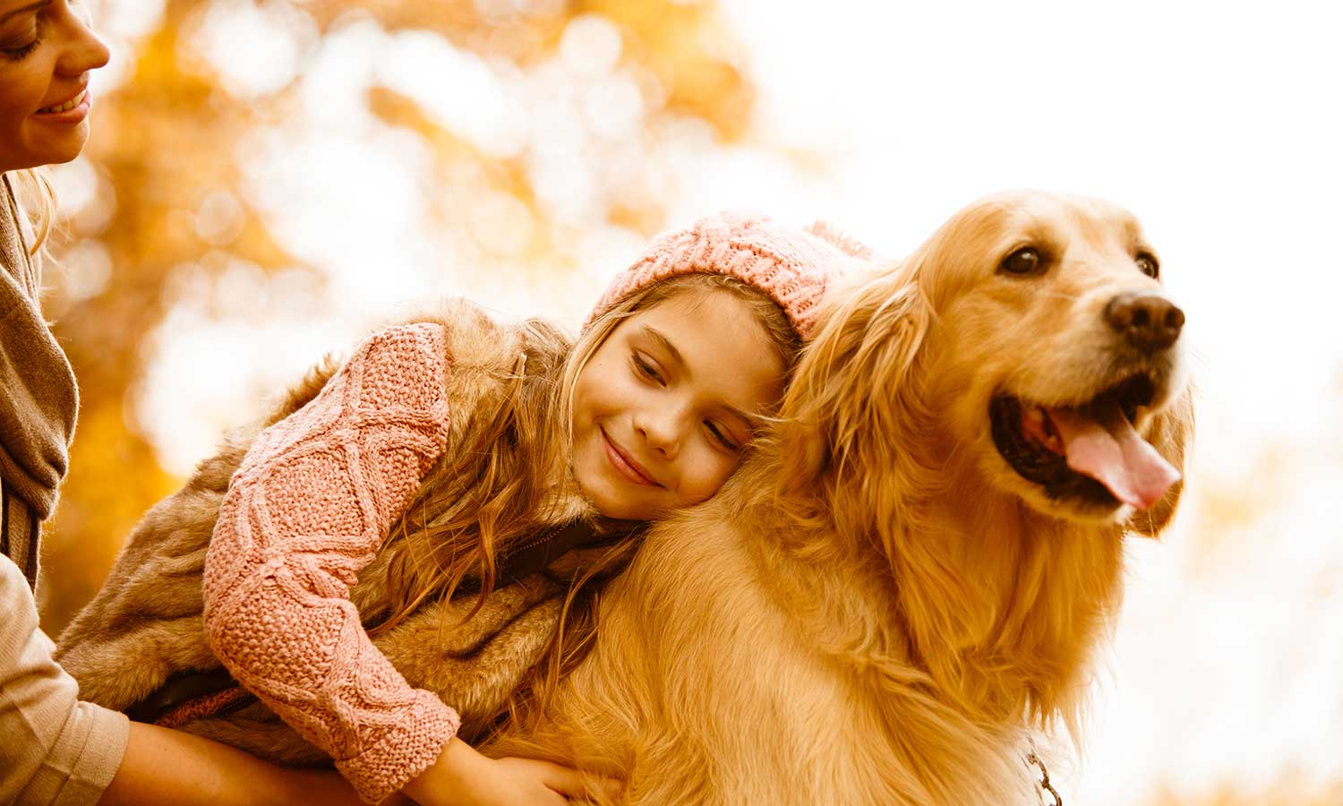 Dog with their family