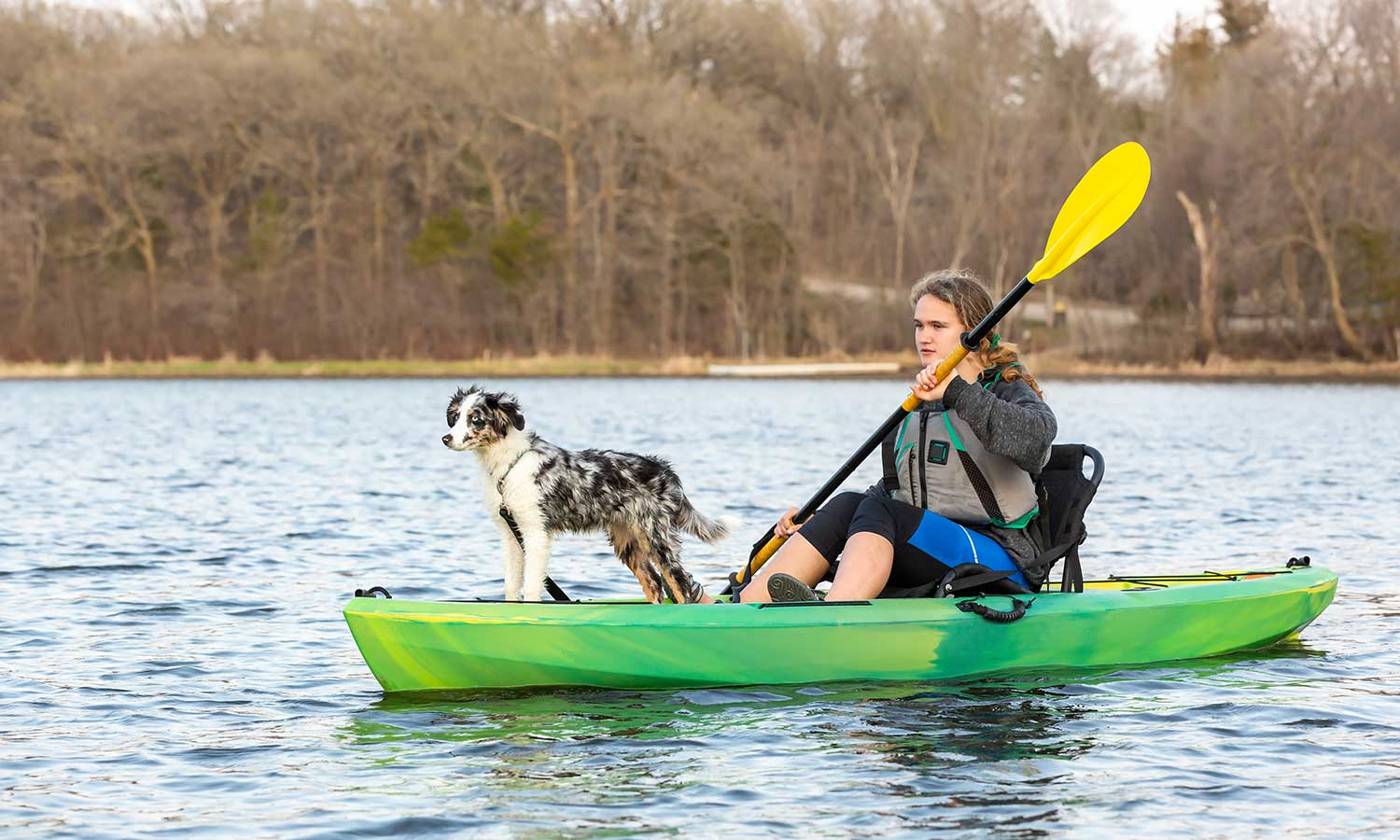 A dog out on a kayak